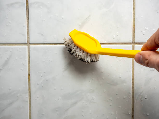 Best Mold Cleaning Services  in Marathon, FL