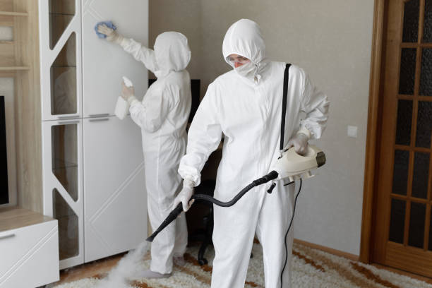Best Attic Mold Removal  in Marathon, FL