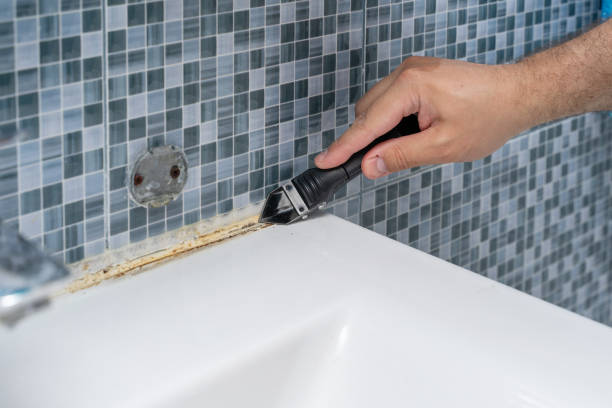 Best Mold Removal Specialists  in Marathon, FL