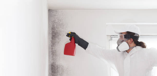 Crawl Space Mold Removal in Marathon, FL
